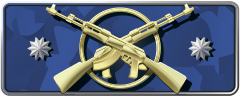 Master Guardian Elite